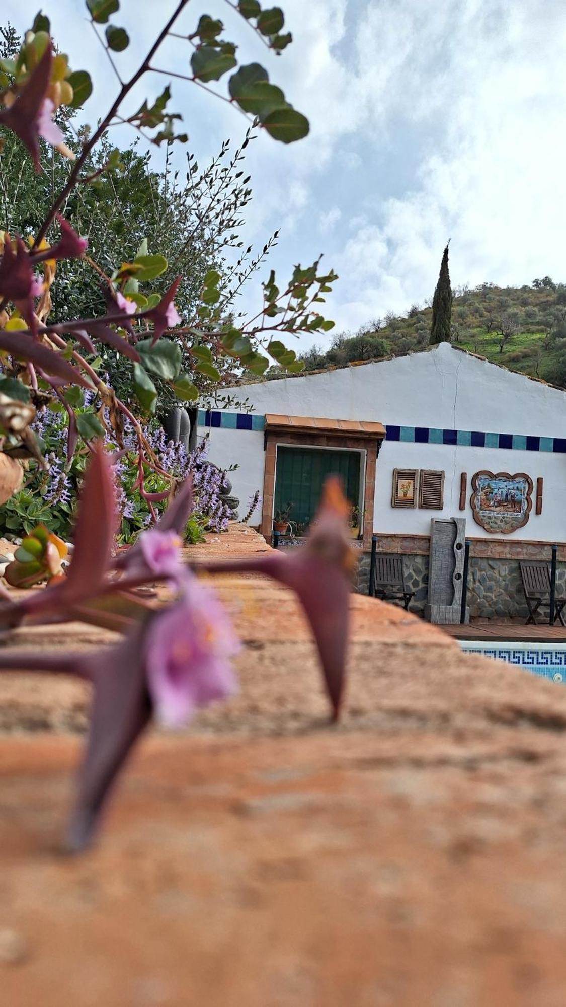 Finca Los Burros Totalan Exterior photo